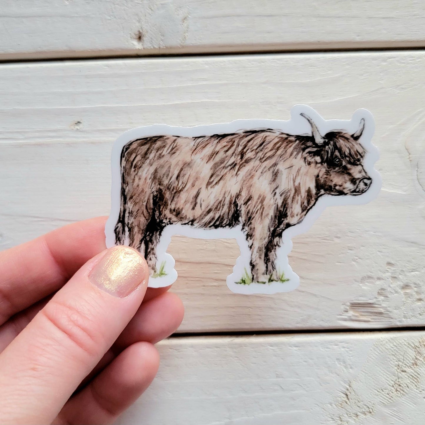 Highland Cow Vinyl Sticker