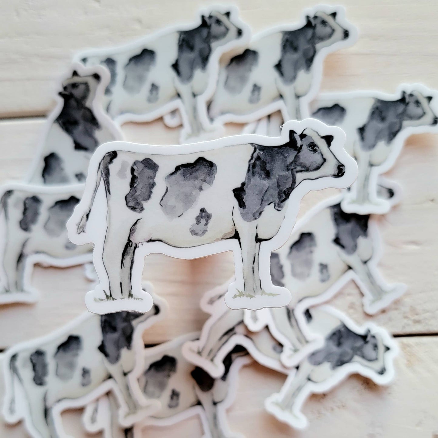 Holstein Black and White Cow Vinyl Sticker