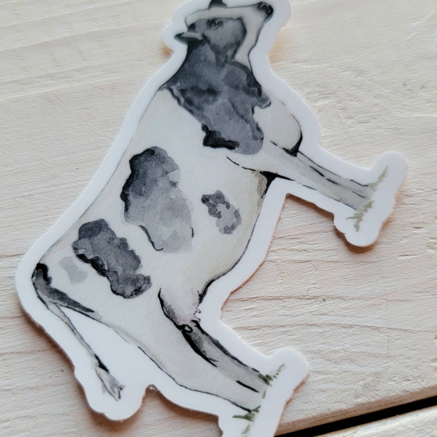 Holstein Black and White Cow Vinyl Sticker