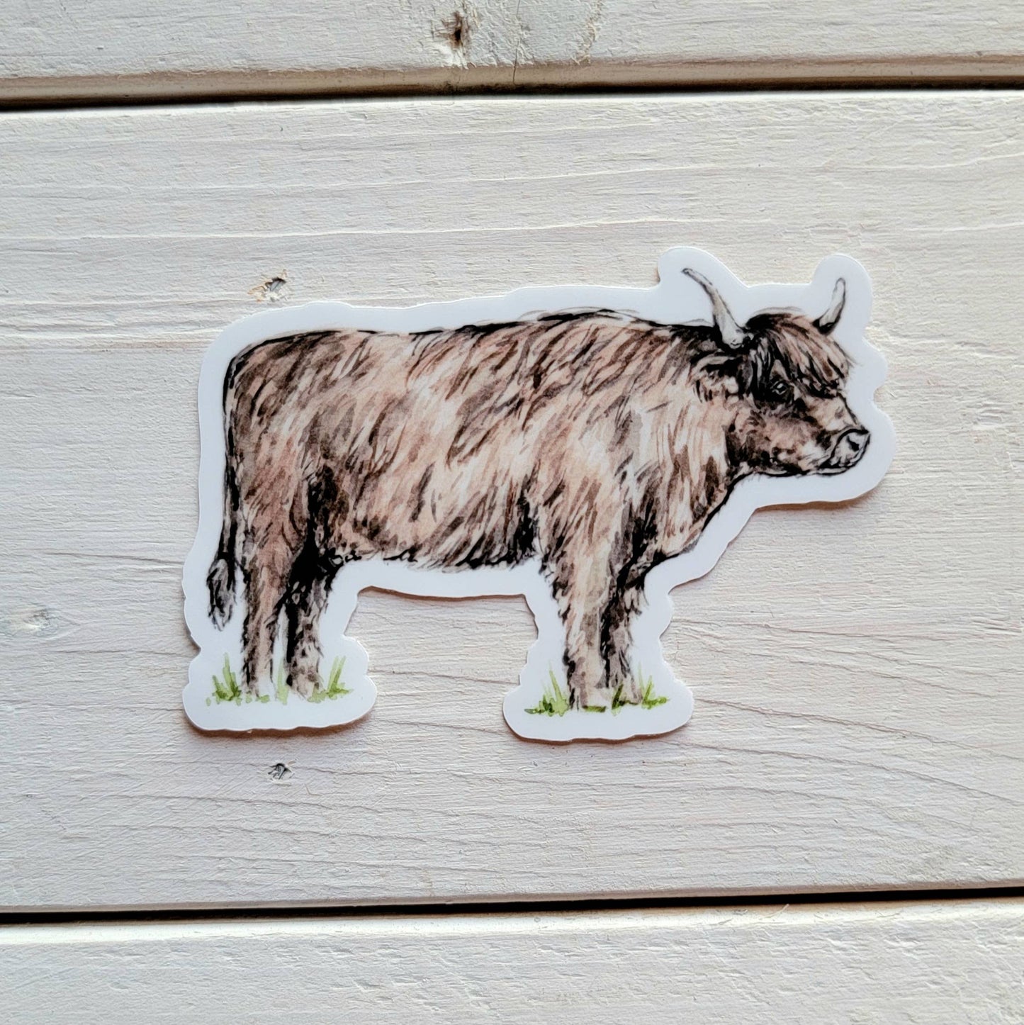 Highland Cow Vinyl Sticker