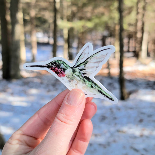 Hummingbird Vinyl Sticker