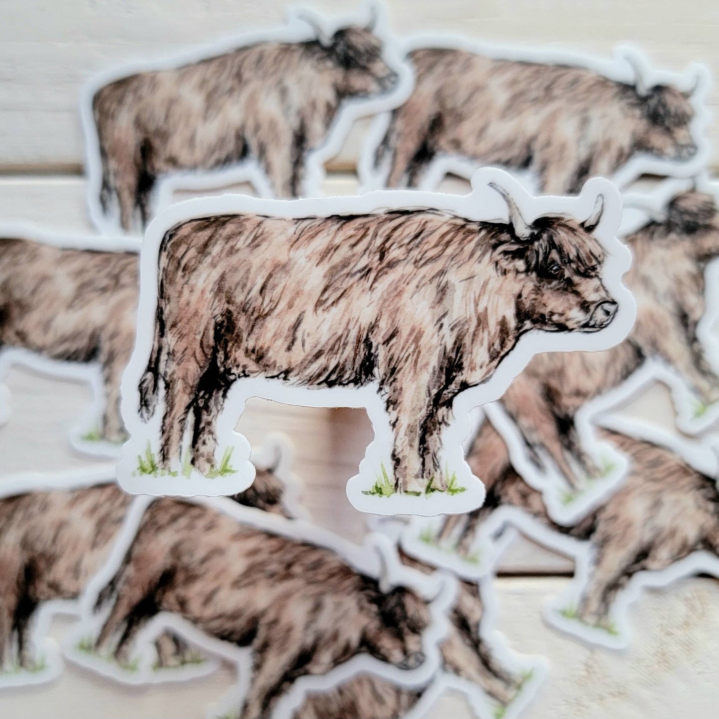 Highland Cow Vinyl Sticker