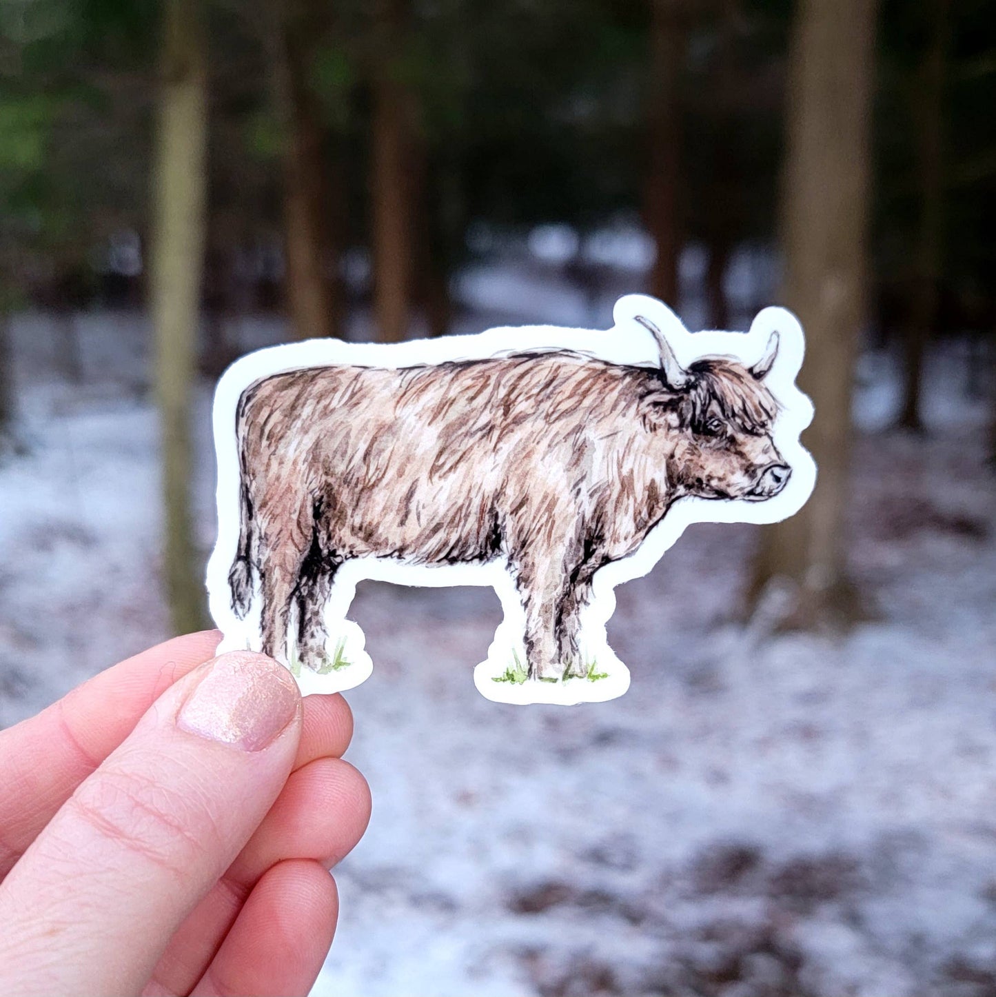 Highland Cow Vinyl Sticker