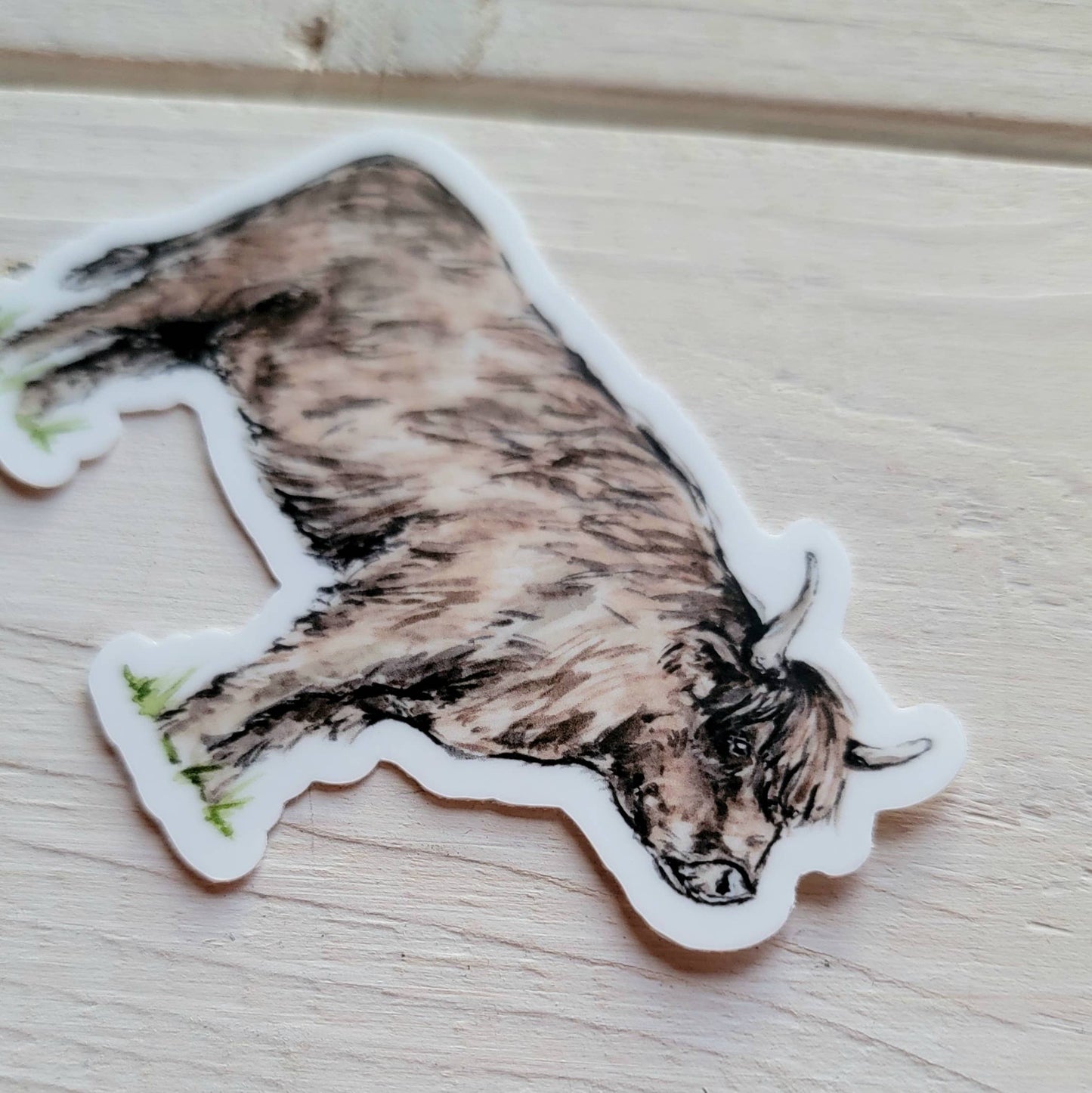 Highland Cow Vinyl Sticker