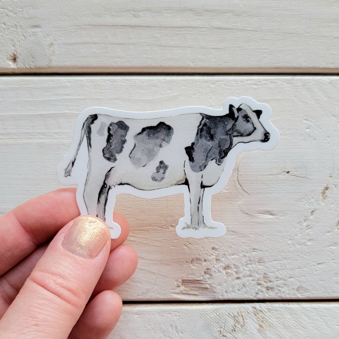 Holstein Black and White Cow Vinyl Sticker