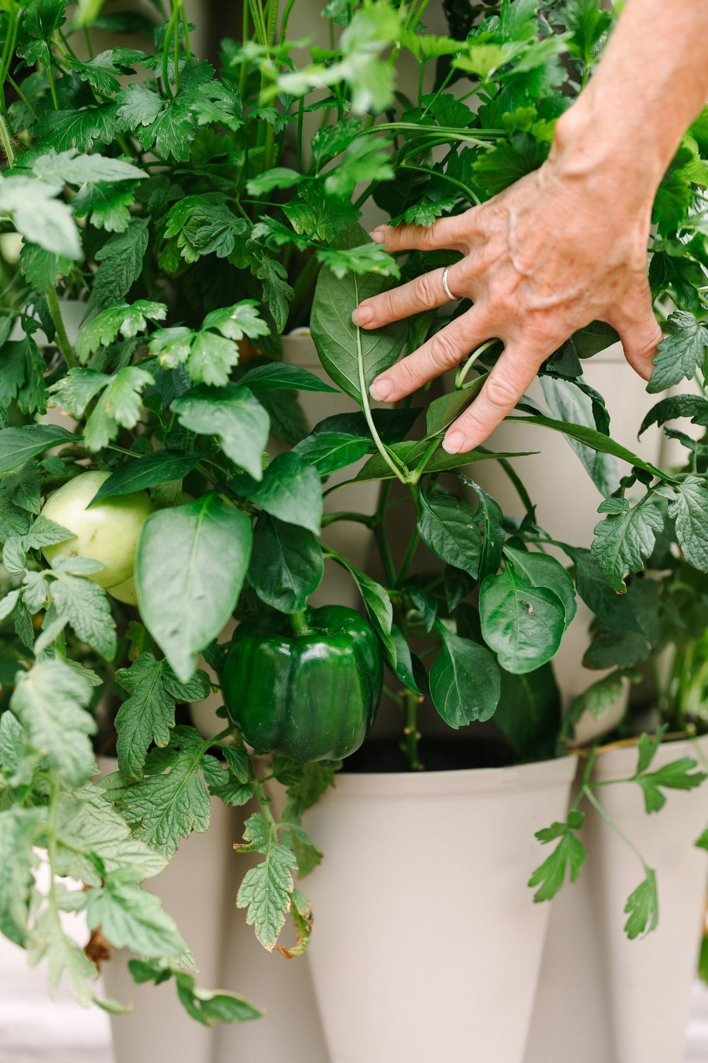 5 Tier GreenStalk Garden Original Vertical Planter - Basic Texture